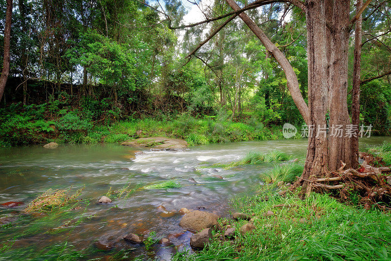 Nerang River昆士兰